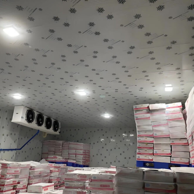 How to establish a good Meat seafood or ice cream storage room - Image 3