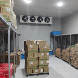 How to establish a good Meat seafood or ice cream storage room