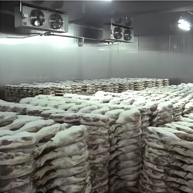 How to establish a good Meat seafood or ice cream storage room - Image 4